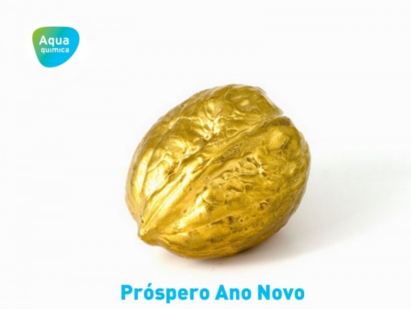 Pr�spero Ano Novo